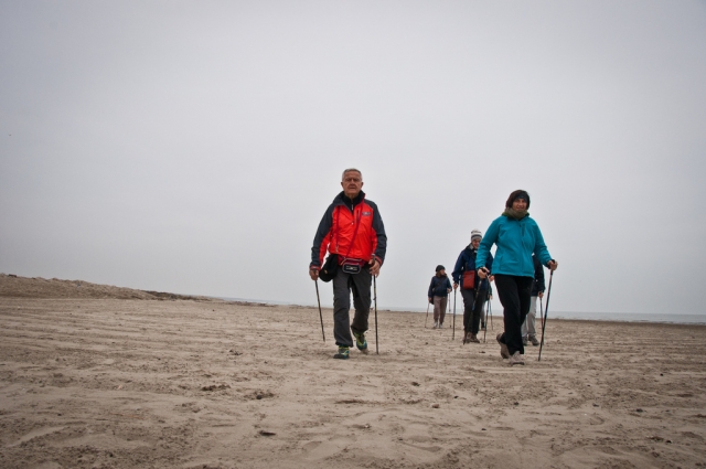  nordic walking 